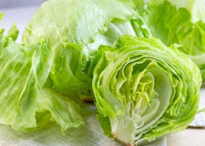 Ada Sederet Manfaat Sayur Selada untuk Kesehatan Tubuh, Yuk Konsumsi dengan Rutin!