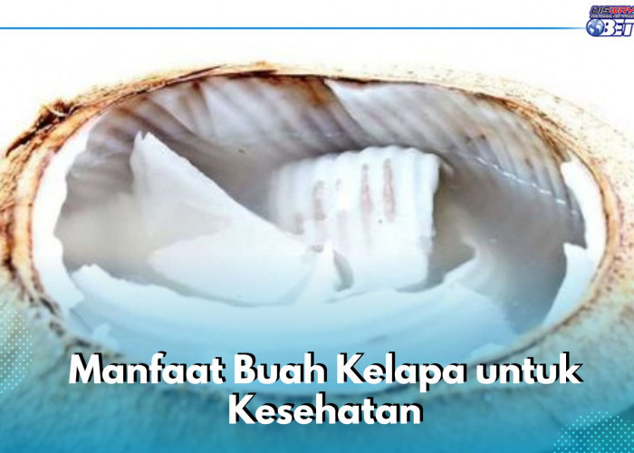 Tak Hanya Baik untuk Pencernaan, Ini Manfaat Buah Kelapa yang Perlu Kamu Ketahui