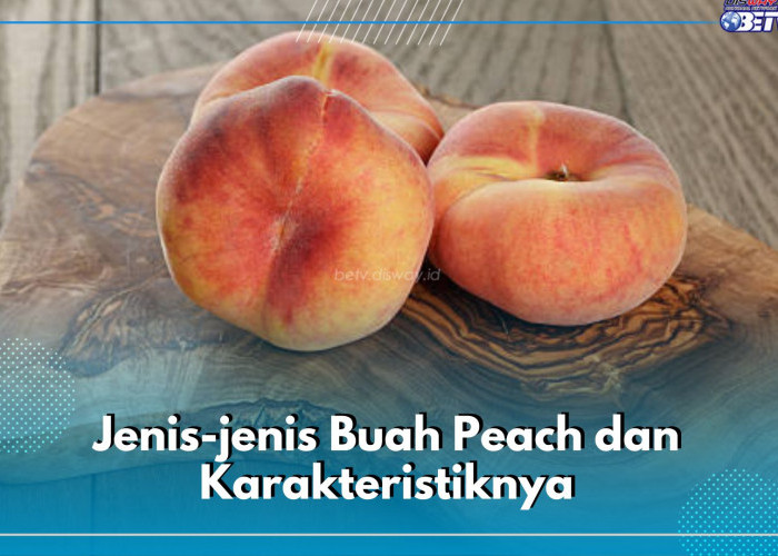 Mengenal 8 Jenis Buah Peach berdasarkan Karakteristiknya, Cek di Sini!