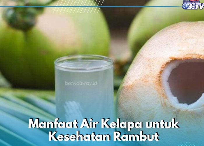 Cukup Gunakan Air Kelapa Sehari-hari, Baik untuk Menjaga Kesehatan Rambut, Ini Manfaatnya