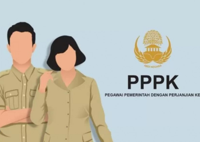 Jelang Penutupan, Baru 405 Pendaftar PPPK Pemprov Bengkulu Memenuhi Syarat 