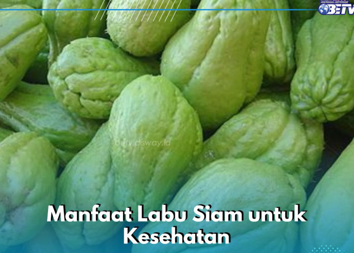 6 Manfaat Labu Siam yang Jarang Diketahui, Dipercaya Dapat Menjaga Fungsi Hati