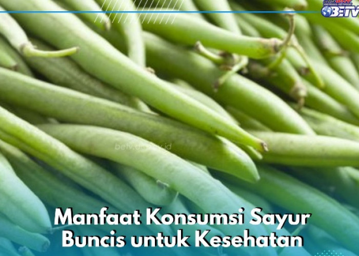 Cukup Konsumsi Sayur Buncis Ini Secara Rutin, Baik untuk Menjaga Daya Tahan Tubuh, Cek Manfaat Lainnya