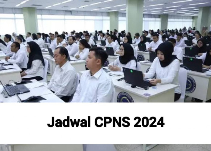 Resmi! Cek Formasi dan Jadwal Seleksi CPNS 2024, Dibuka 5 Hari Lagi