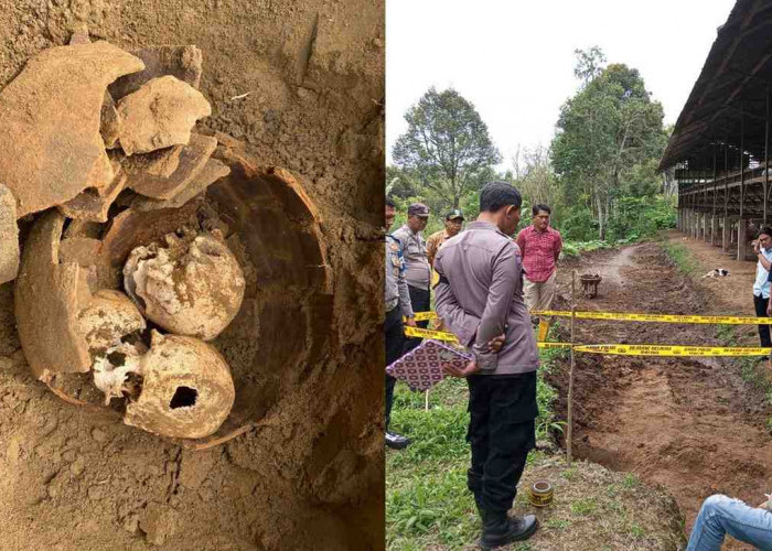 Geger! Warga Kepahiang Temukan 3 Tengkorak Kepala Manusia di Dalam Guci