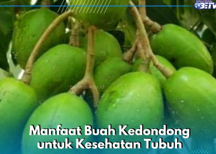 Buah Kedondong Ini Enak dan Sehat, Cek Manfaatnya di Sini! Ampuh Meningkatkan Imunitas Tubuh