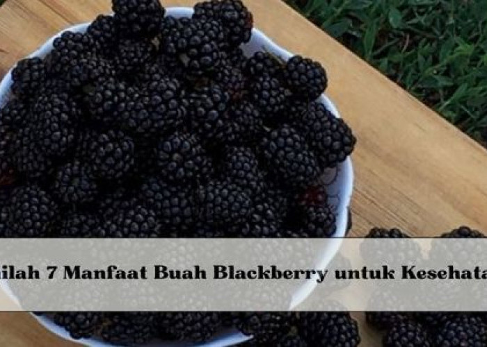 Tidak Banyak yang Tahu, Inilah 7 Manfaat Buah Blackberry untuk Kesehatan, Dapat Kendalikan Gula Darah