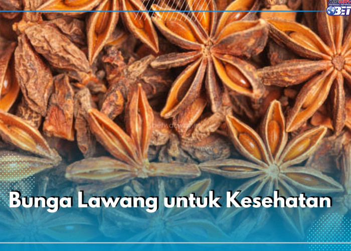Kenal Bunga Lawang? Rempah Berbentuk Bintang Ini Punya Manfaat untuk Kesehatan, Cek di Sini Khasiatnya