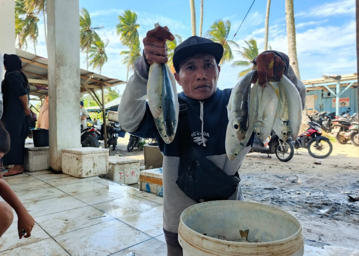 Cuaca Ekstrem, Harga Ikan di Kaur Naik hingga 100 Persen