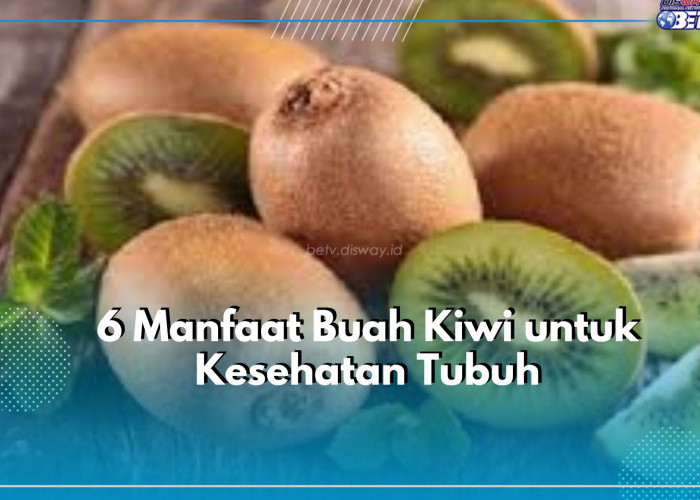 Wajib Tahu! Buah Kiwi Tawarkan 6 Manfaat untuk Kesehatan Tubuh, Nomor 5 Paling Dibutuhkan