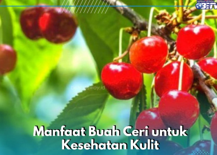 Buah Ceri Bisa Membuat Wajah Makin Sehat dan Halus, Cek Manfaat Lengkapnya di Sini