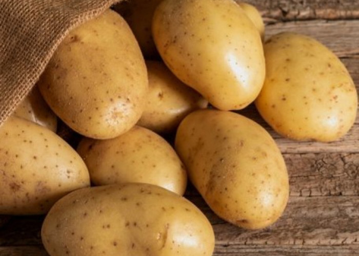 Cek di Sini! Manfaat Konsumsi Kentang untuk Kesehatan, Bisa Bikin Kenyang dan Kaya Nutrisi
