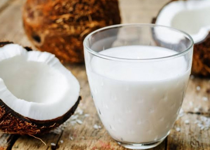 Sudah Tahu Belum? Santan Tawarkan 5 Manfaat Utama Bagi Kesehatan Tubuh, Cek Disini!