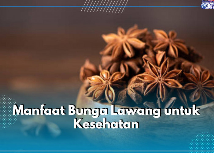 Jadi Rempah Penyedap Masakan, Ternyata Ini 6 Manfaat Bunga Lawang untuk Kesehatan