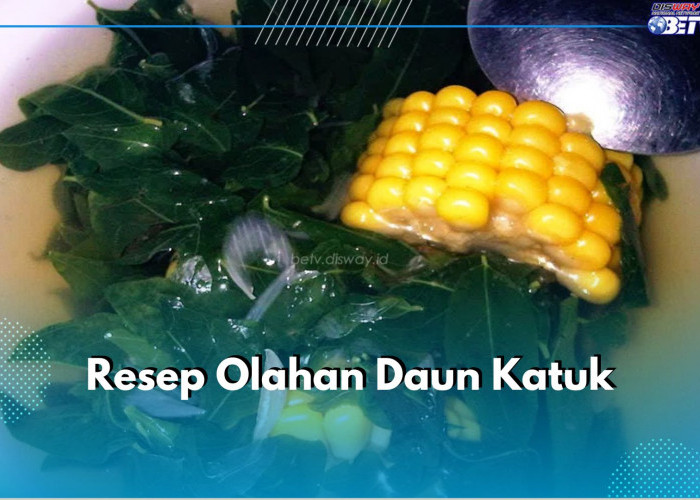 Lezat dan Sehat! Ini 3 Resep Masakan Olahan Daun Katuk yang Bisa Kamu Coba