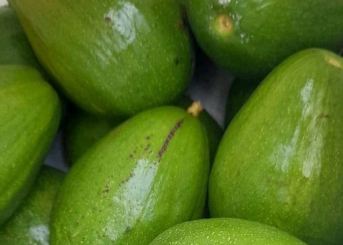 Perlu Tahu! Makanan yang Bikin Awet Muda, Kaya Nutrisi untuk Kulit dan Tubuh