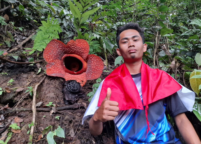 Rafflesia Mekar di Kelurahan Kemumu