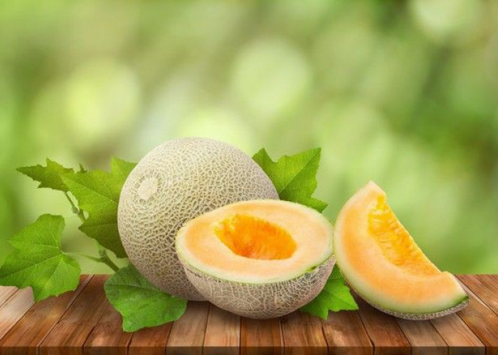 Buat Kesehatan Lebih Terjamin, Intip Kandungan Nutrisi dan Manfaat Buah Melon untuk Tubuh