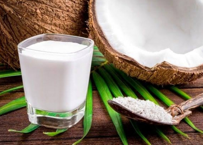 Cek Disini! Ragam Manfaat Santan untuk Kesehatan Tubuh, Penasaran?