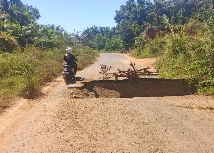 Anggaran Rp250 Juta Hanya di Atas Kertas, Jalan Pasar Sembayat 4 Bulan Dibiarkan Ambles