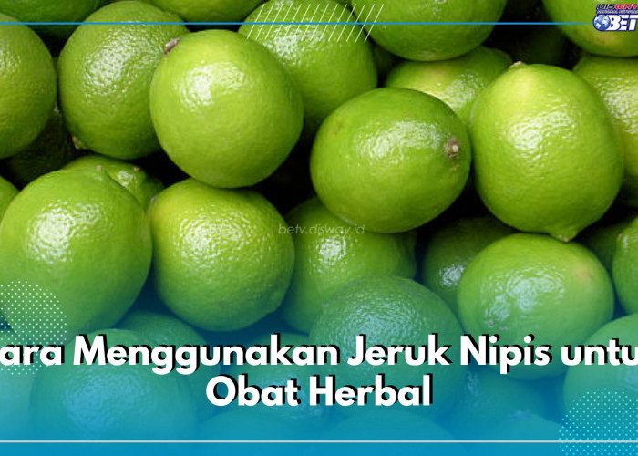 Ternyata Mudah Banget! Ini 5 Cara Menggunakan Jeruk Nipis Untuk Obat Herbal, Bisa untuk Batuk hingga Demam