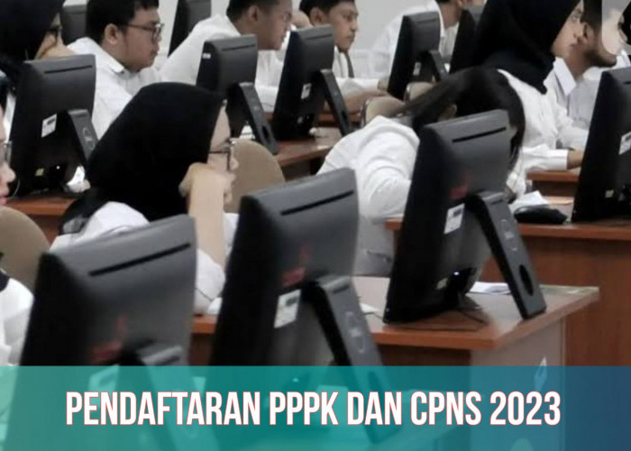 RESMI! BKN Ungkap Jadwal CPNS dan PPPK 2023, Dibuka 17 September, Cek Formasi yang Tersedia