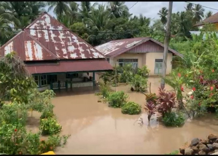 Kota Bengkulu Dikepung Banjir, BPBD Identifikasi 16 Titik Terdampak dan Pohon Tumbang