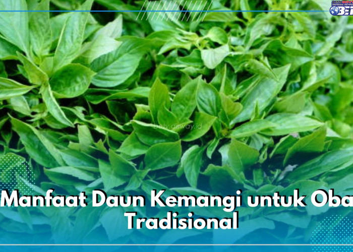 5 Manfaat Daun Kemangi untuk Obat Tradisional, Ampuh Redakan Sakit Kepala