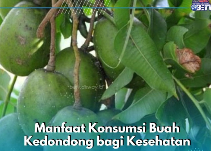 Buah Kedondong Baik bagi Kesehatan Tubuh, Cek Manfaat Lainnya di Sini