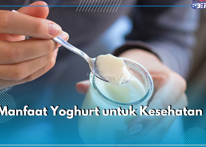 Dikenal Ampuh Jaga Berat Badan, Ini 6 Manfaat Lain dari Yoghurt untuk Kesehatan