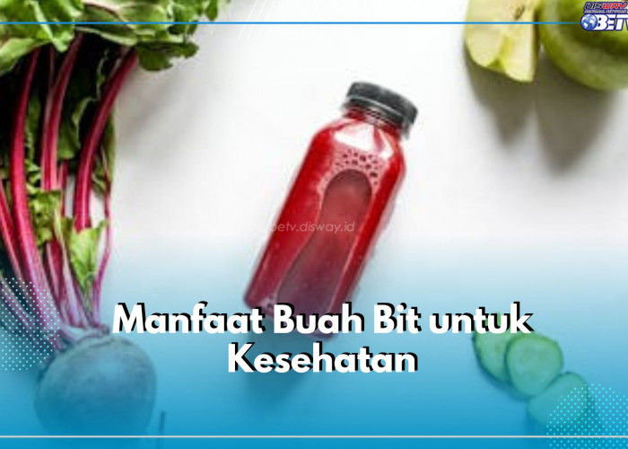 Kenali Sederet Manfaat Buah Bit dan Kandungan Nutrisi yang Baik untuk Kesehatan, Cek Disini!