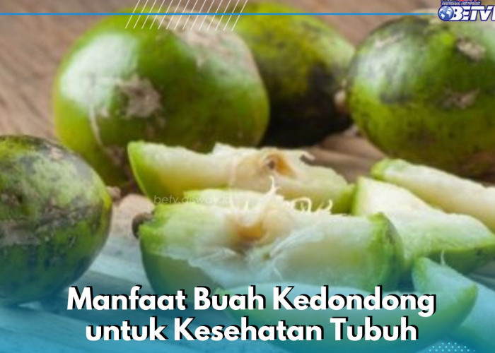 Nikmatnya, Ampuh Membuat Pencernaan Makin Lancar, Ini Manfaat Buah Kedondong yang Perlu Diketahui