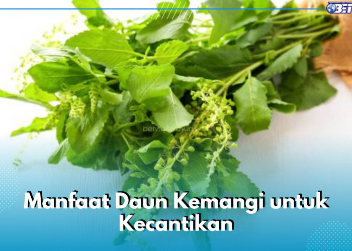 6 Manfaat Daun Kemangi untuk Kecantikan yang Bisa Bikin Kamu Makin Suka, Bisa Bantu Atasi Jerawat, Lho!