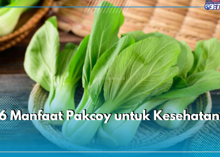 6 Manfaat Pakcoy untuk Kesehatan, Dukung Pengelihatan Tetap Jernih hingga Sistem Pencernaan