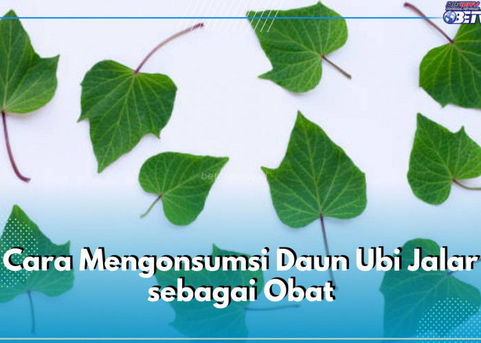 Ini 5 Cara Konsumsi Daun Ubi Jalar sebagai Obat, Dijadikan Teh hingga Salad