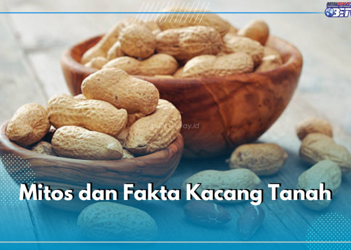 Mitos dan Fakta Kacang Tanah yang Sering Disalahpahami, Benarkah Bikin Jerawatan?