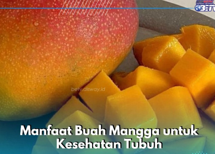 Cek Manfaat Lain Buah Mangga di Sini, Dipercaya Ampuh Menurunkan Tekanan Darah