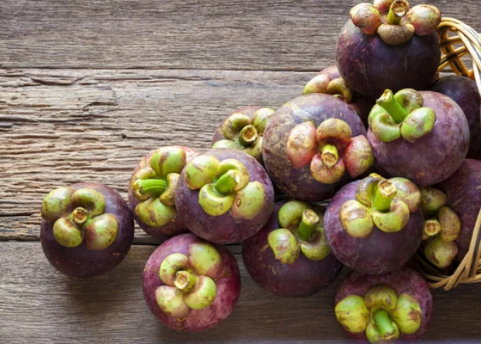Kaya akan Serat, Inilah Manfaat Buah Manggis untuk Ibu Hamil