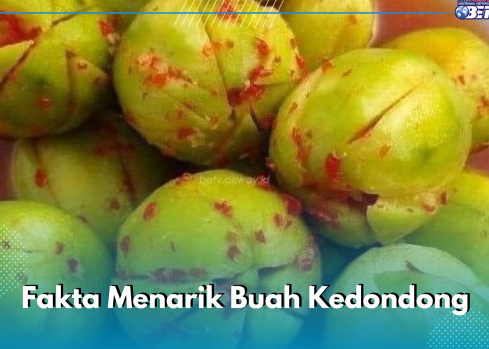 8 Fakta Menarik Buah Kedondong yang Sayang Dilewatkan, Ternyata Kulitnya Bisa Dimakan