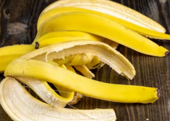 Tak hanya Buahnya, Berikut Manfaat Kulit Pisang untuk Kesehatan Tubuh 
