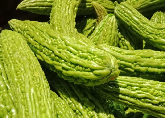 Cek Manfaat Pare untuk Kesehatan Tubuh, Sayuran Pahit yang Kaya Nutrisi