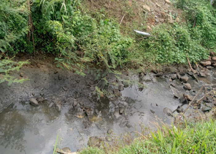 Tegas! Masyarakat Desa Tumbuan Surati Kades, Minta Tindak Lanjut Dugaan Limbah PT Aip Cemari Sungai 