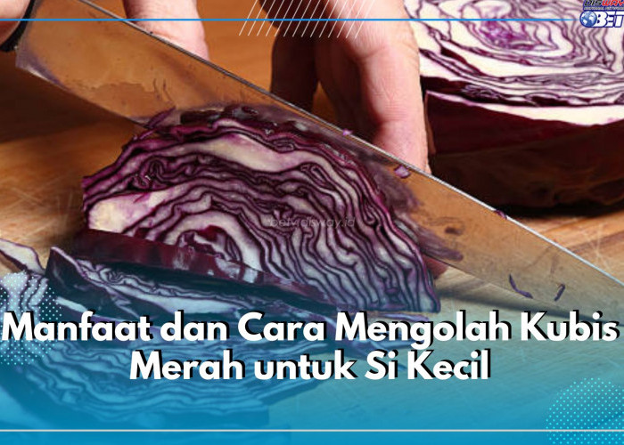 Anak 1 Tahun Boleh Mengonsumi Kubis Merah, Ini 7 Manfaat dan Cara Sehat Mengolahnya untuk Si Kecil