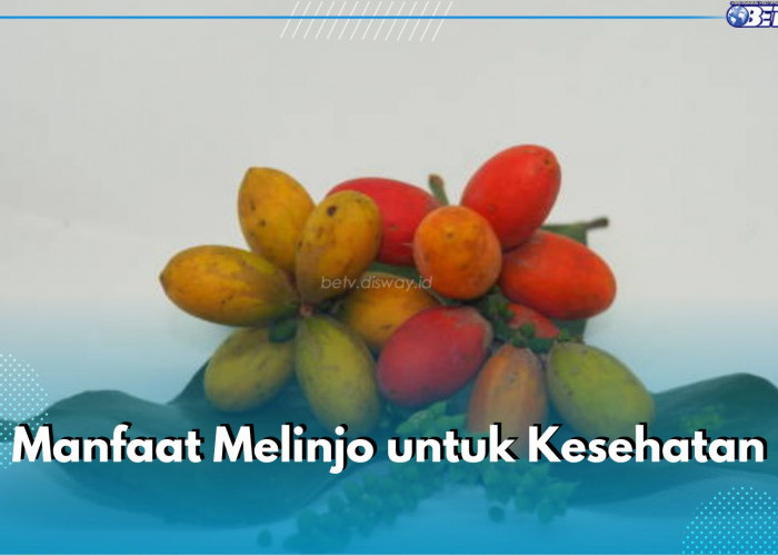 Jarang Diketahui, Ini 5 Manfaat Melinjo untuk Kesehatan Tubuh