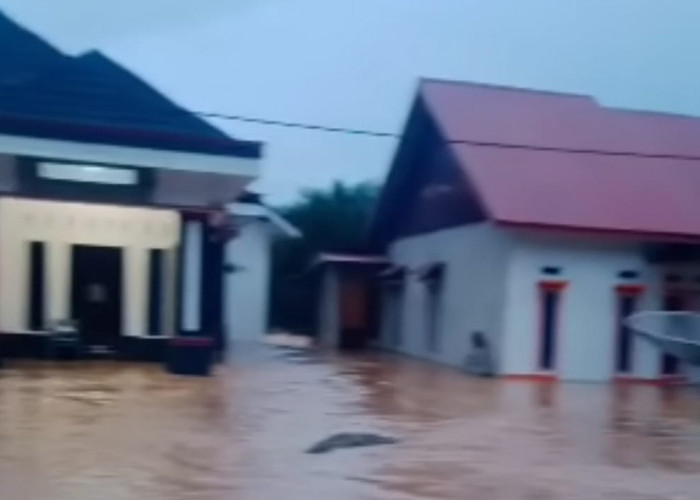 Banjir Rendam Puluhan Rumah di  desa Air Buluh