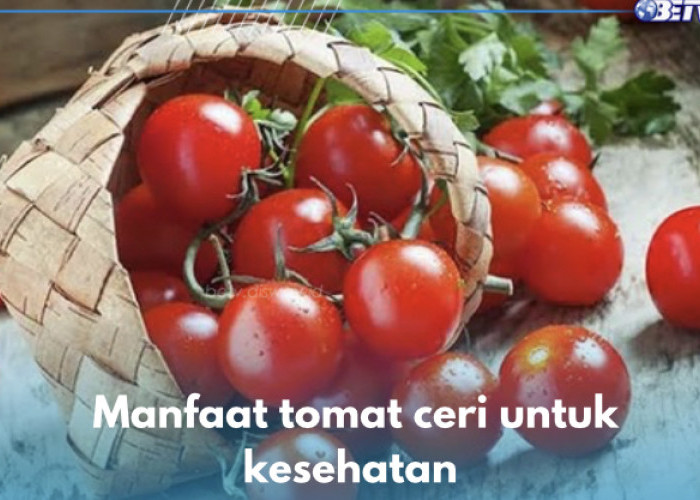 Baik Bagi Penderita Kolesterol, Ini 10 Manfaat Tomat Ceri untuk Kesehatan yang Sayang Dilewatkan