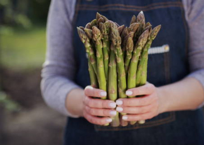 Selain Gangguan Pencernaan, Ini 7 Efek Samping Asparagus bagi Kesehatan Tubuh