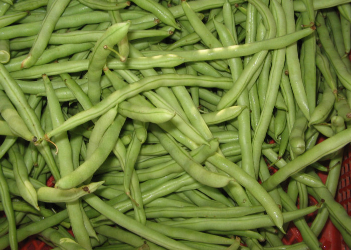 5 Manfaat Kacang Buncis Ini Jarang Diketahui, Cek Karena Sayang Jika Dilewatkan