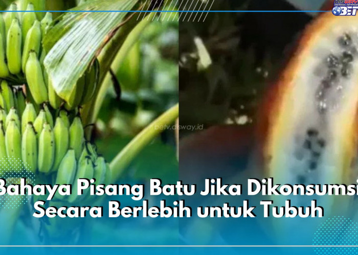 Kenali 5 Bahaya Pisang Batu Jika Dikonsumsi Secara Berlebih untuk Tubuh