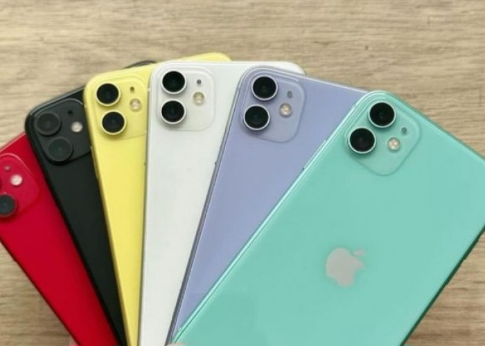 5 Rekomendasi iPhone dengan Kamera Ultra Wide, Worth It dan Punya Desain Modern